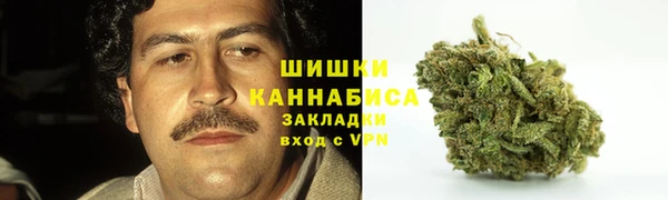 гашик Богородицк