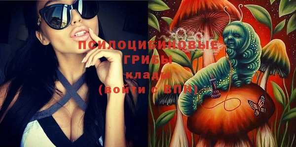 хмурый Богородск