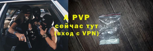 гашик Богородицк