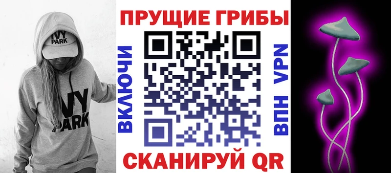 как найти наркотики  Армавир  Псилоцибиновые грибы MAGIC MUSHROOMS 
